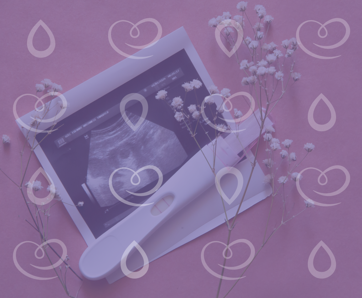 planejamento da gravidez